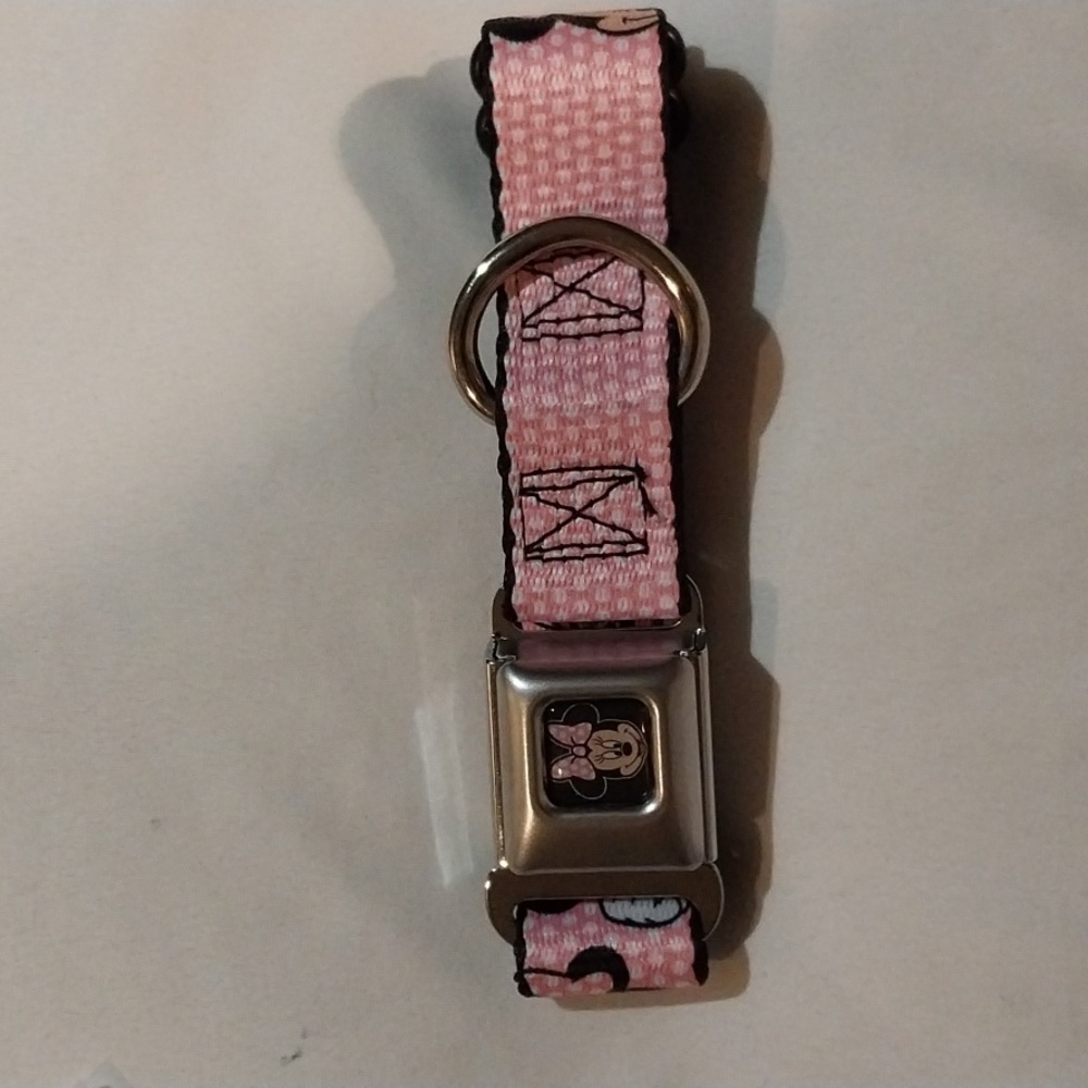 Buckle Down Pet Collar